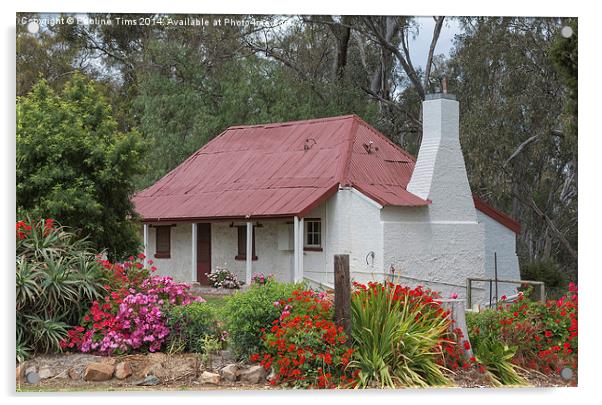 Vignerons Cottage Tahbilk Winery Acrylic by Pauline Tims