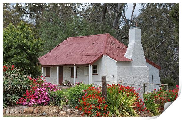 Vignerons Cottage Tahbilk Winery Print by Pauline Tims