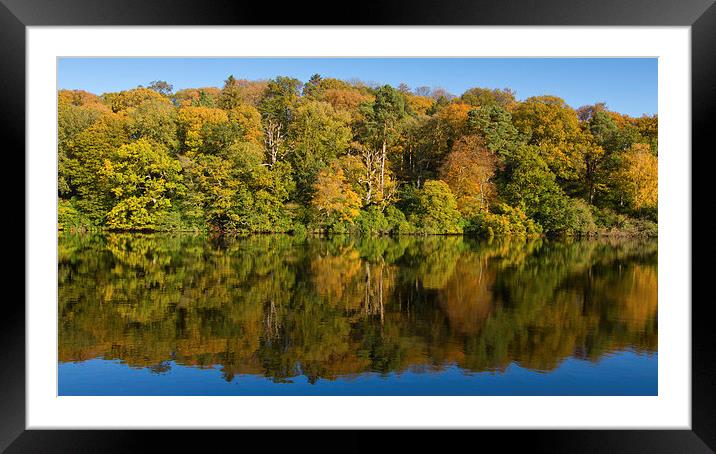 Autumn Reflections Framed Mounted Print by James Meacock