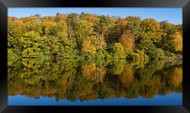 Autumn Reflections Framed Print by James Meacock