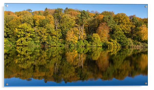 Autumn Reflections Acrylic by James Meacock