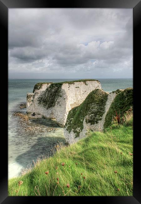 Old Harrys Rocks Framed Print by Diane Griffiths