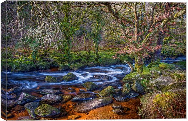 A Winter Stream Canvas Print by Tracey Yeo