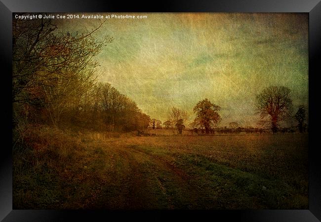 Over A Field Framed Print by Julie Coe