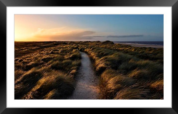 Holme next the sea dunes Framed Mounted Print by Gary Pearson