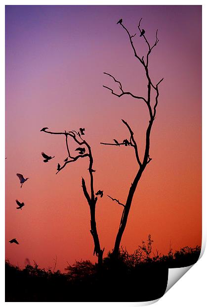 Mysterious Sunset with Solo of the Tree and Choir  Print by Jenny Rainbow
