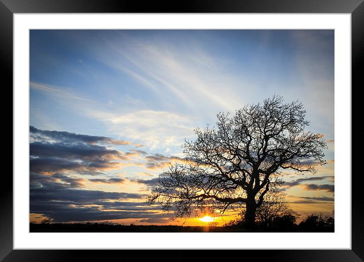 Lone Tree Sunset Framed Mounted Print by I Burns