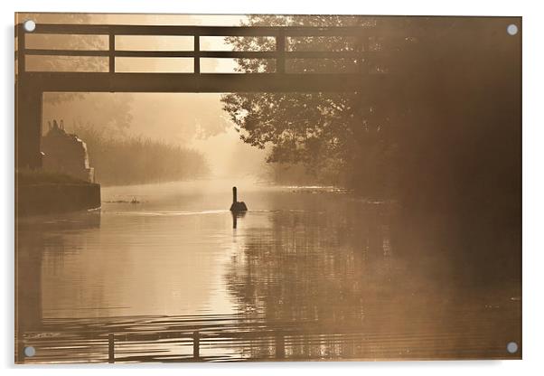 September Mist3 Acrylic by Jack Jacovou Travellingjour