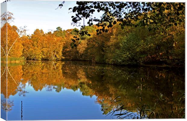 Stockgrove Lake  in Autumn Canvas Print by graham young
