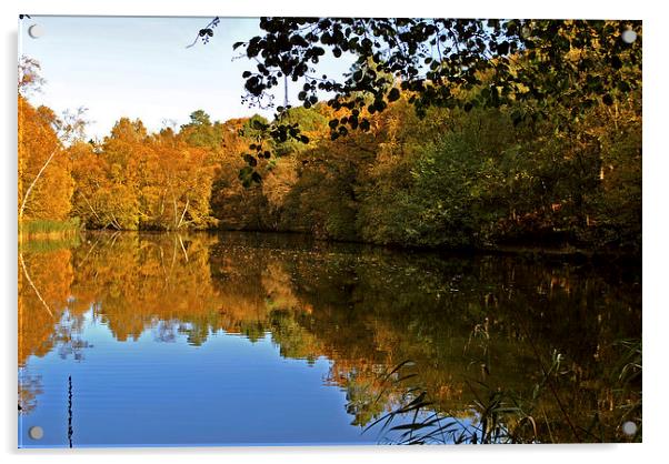 Stockgrove Lake  in Autumn Acrylic by graham young