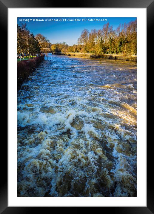 River Medway Flood Framed Mounted Print by Dawn O'Connor
