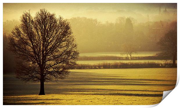 Long Shadows Print by Dawn Cox