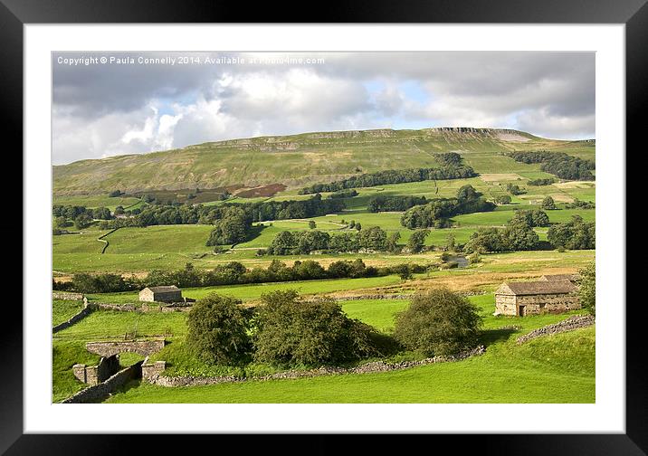 Wensleydale Framed Mounted Print by Paula Connelly