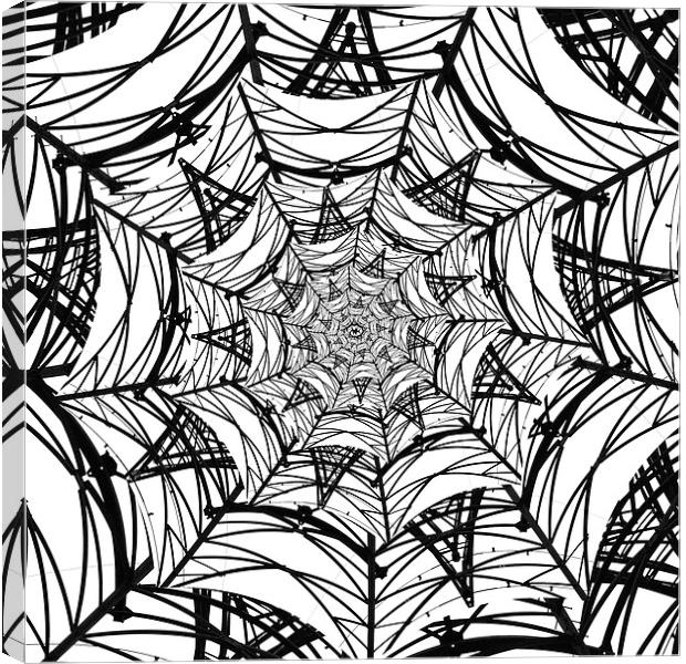 Spiderweb Pylon Canvas Print by Shaun White