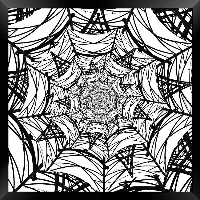 Spiderweb Pylon Framed Print by Shaun White