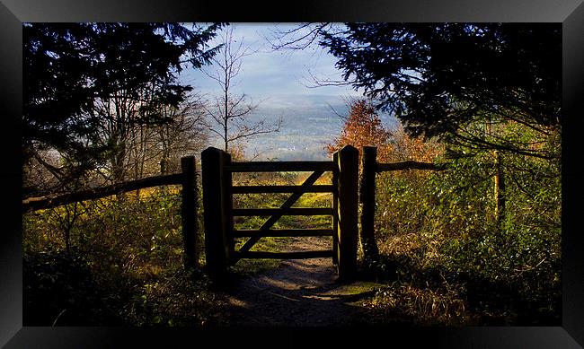 Gateway to the countryside Framed Print by Michelle Orai