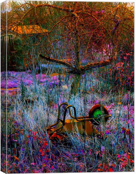 WHEELBARROW IN THE GRASS Canvas Print by Jacque Mckenzie