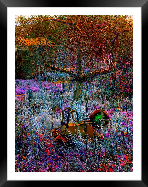 WHEELBARROW IN THE GRASS Framed Mounted Print by Jacque Mckenzie