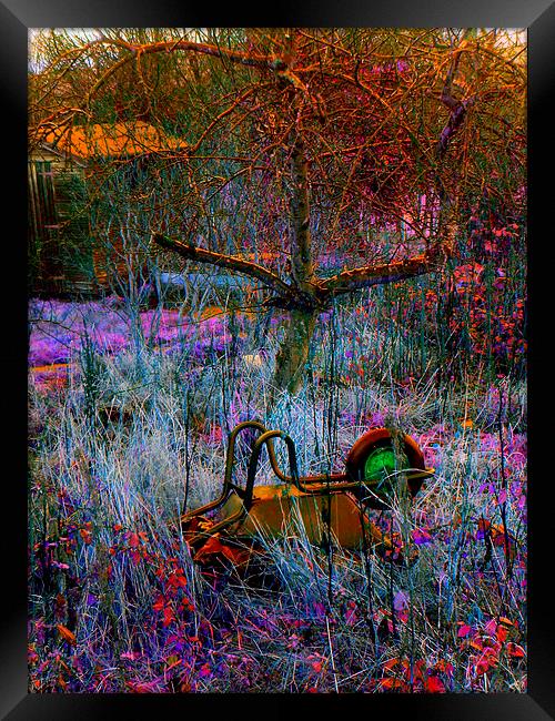 WHEELBARROW IN THE GRASS Framed Print by Jacque Mckenzie