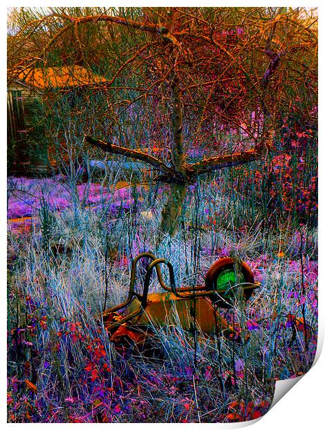 WHEELBARROW IN THE GRASS Print by Jacque Mckenzie