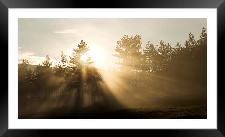 Sunrise bursting through trees and mist Framed Mounted Print by Ian Middleton
