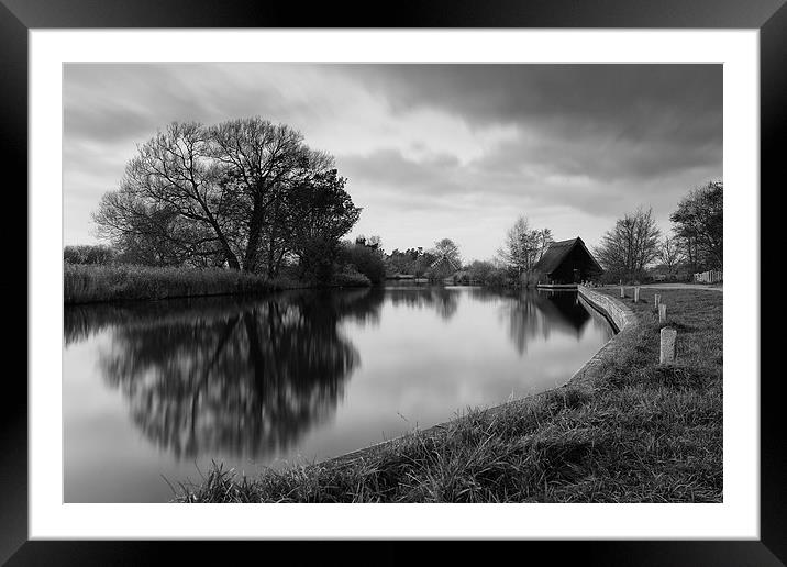 River Ant Framed Mounted Print by Gail Sparks