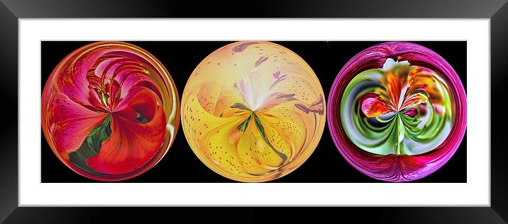Marbles Framed Mounted Print by Thanet Photos