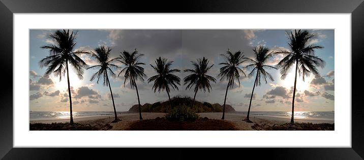 Panoramic Palms Framed Mounted Print by james balzano, jr.