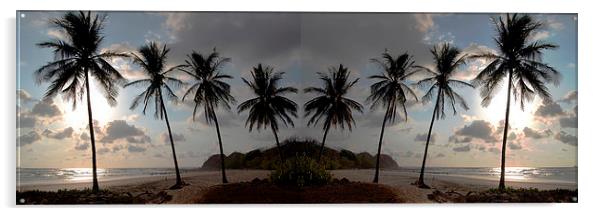 Panoramic Palms Acrylic by james balzano, jr.