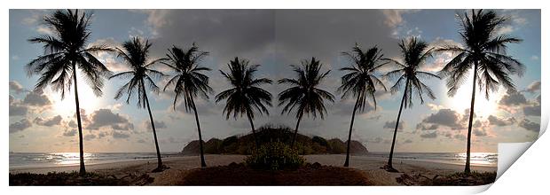 Panoramic Palms Print by james balzano, jr.