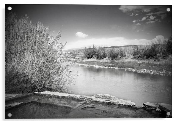 Rio Grande Hot Springs in black and white Acrylic by Judy Hall-Folde