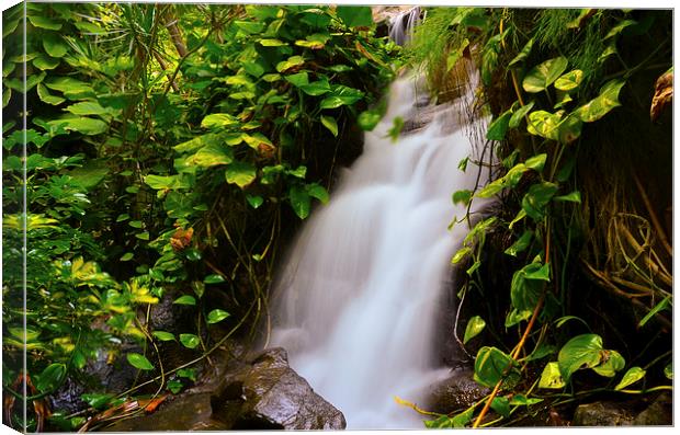 Flowing Silk Canvas Print by Pete White