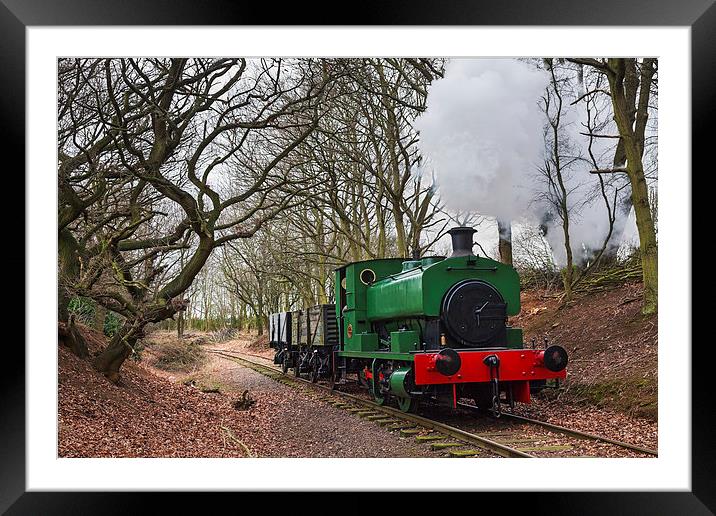 Goods train through the woods Framed Mounted Print by Ian Duffield