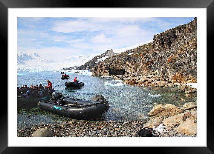 Cierva Cove Antarctica Framed Mounted Print by Carole-Anne Fooks