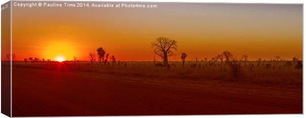 Sunset on Gibb River Road W.A Canvas Print by Pauline Tims