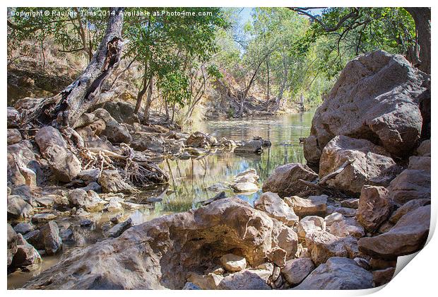 The Billabong (Water Hole) Print by Pauline Tims