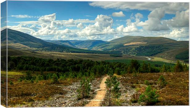 Glen Feshie In The Cairngorms Canvas Print by Jamie Green