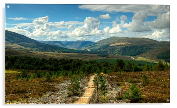 Glen Feshie In The Cairngorms Acrylic by Jamie Green