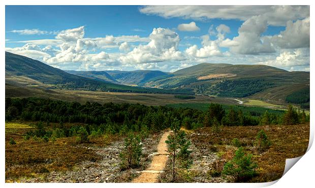 Glen Feshie In The Cairngorms Print by Jamie Green