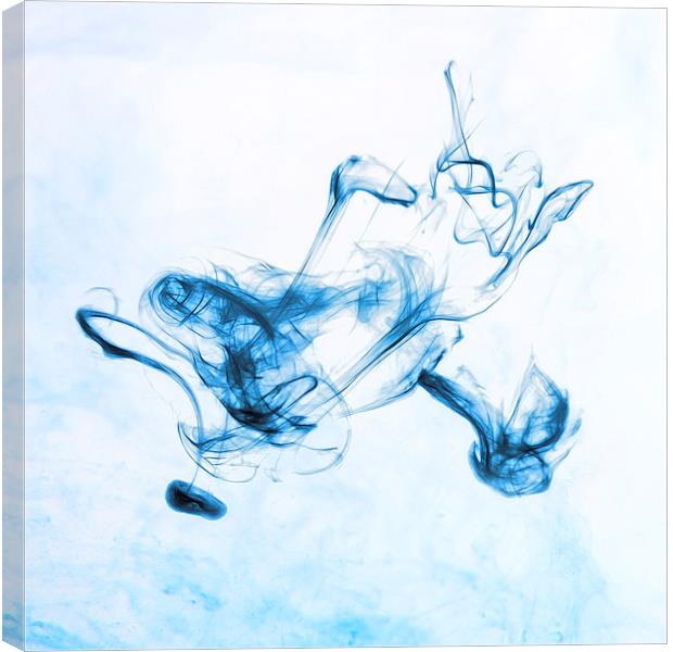 blue ink Canvas Print by Silvio Schoisswohl