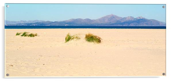 The Beach Mallorca Acrylic by Peter F Hunt