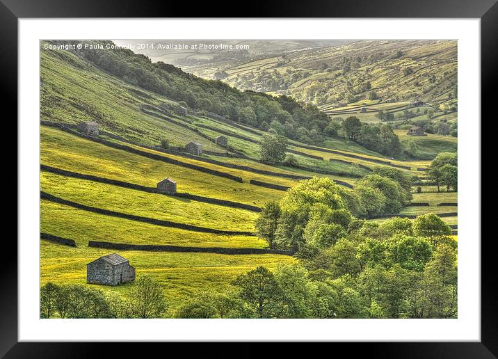 Swaledale Framed Mounted Print by Paula Connelly