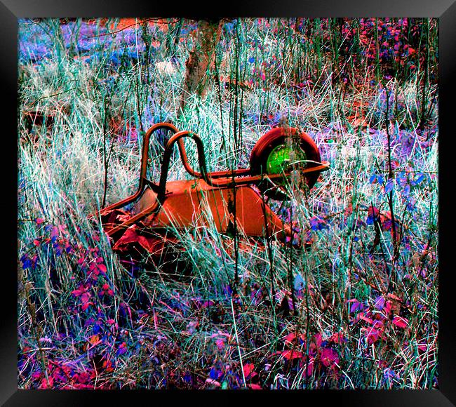 ALL WHEELBARROWED OUT Framed Print by Jacque Mckenzie