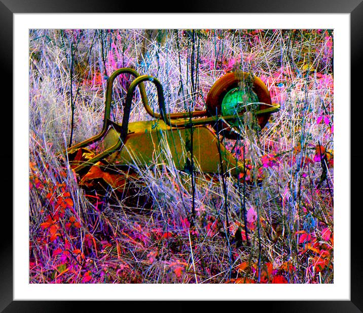 WHEELBARROW BURST Framed Mounted Print by Jacque Mckenzie