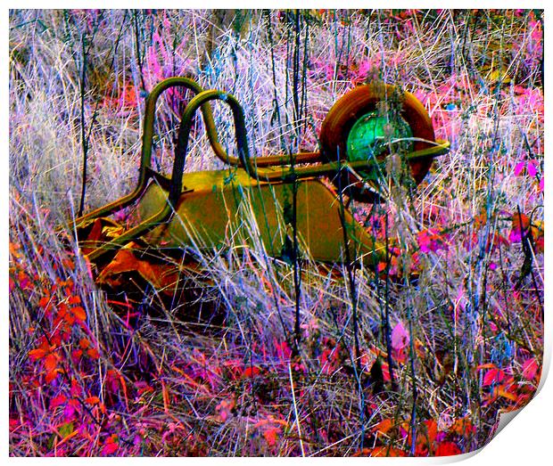 WHEELBARROW BURST Print by Jacque Mckenzie