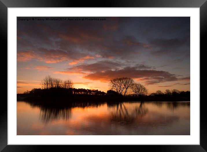 Sunrise at Colwick Park Framed Mounted Print by Tracey Whitefoot