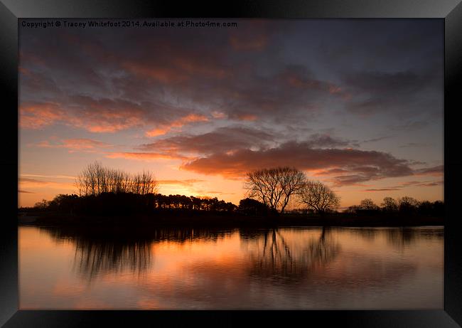 Sunrise at Colwick Park Framed Print by Tracey Whitefoot
