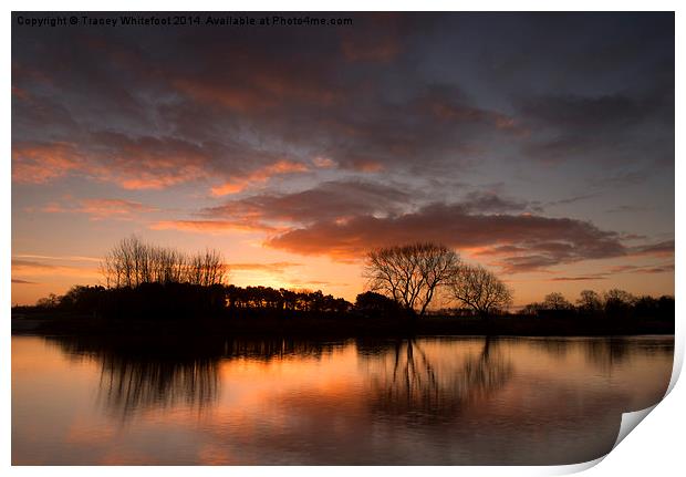 Sunrise at Colwick Park Print by Tracey Whitefoot