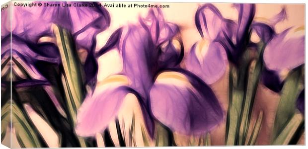 Soft iris Canvas Print by Sharon Lisa Clarke