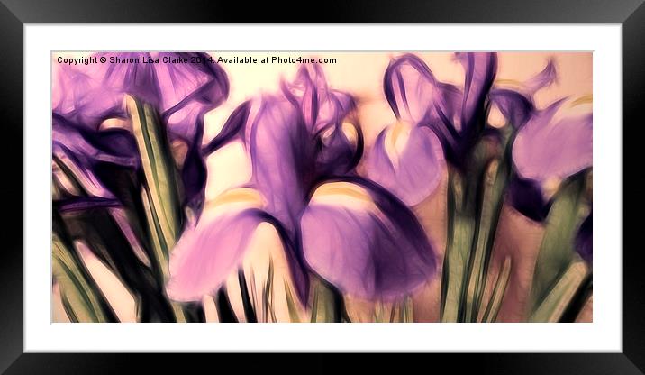 Soft iris Framed Mounted Print by Sharon Lisa Clarke
